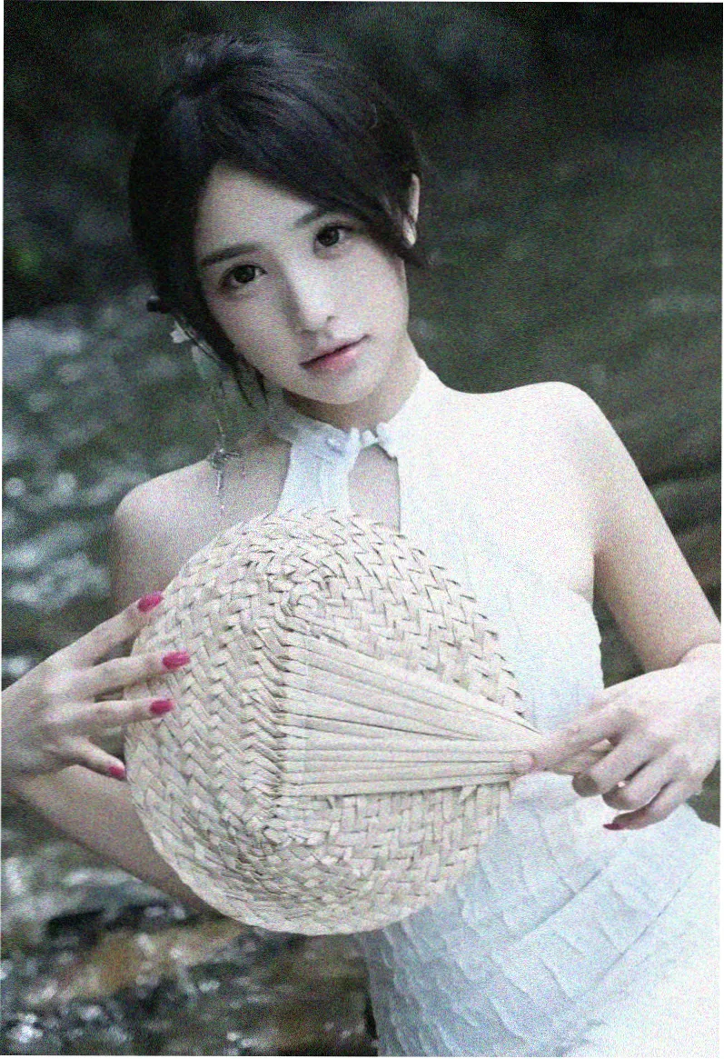迷雾森林